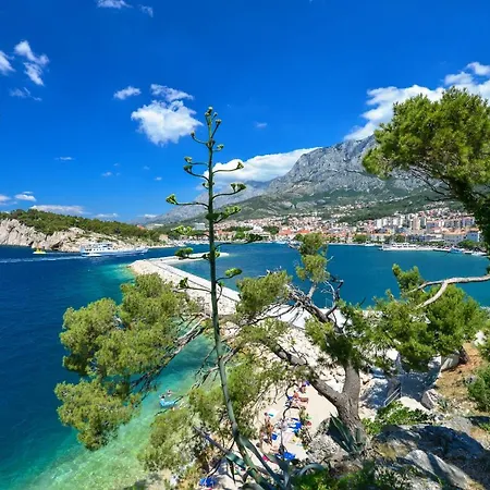 Maslina Apartmán Makarská